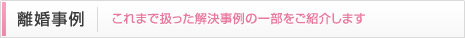 離婚事例 これまで扱った解決事例の一部をご紹介します
